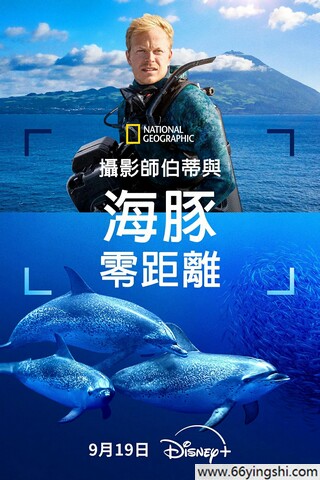 限定视角盐引风波